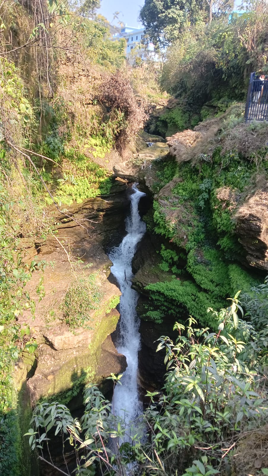 davidfalls